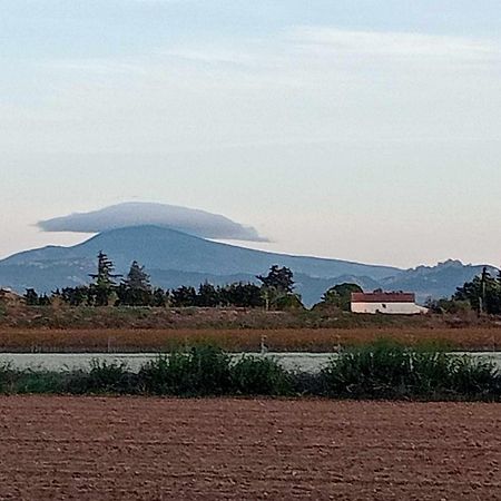 Chambre D'Hotes Les Garrigues Piolenc Buitenkant foto