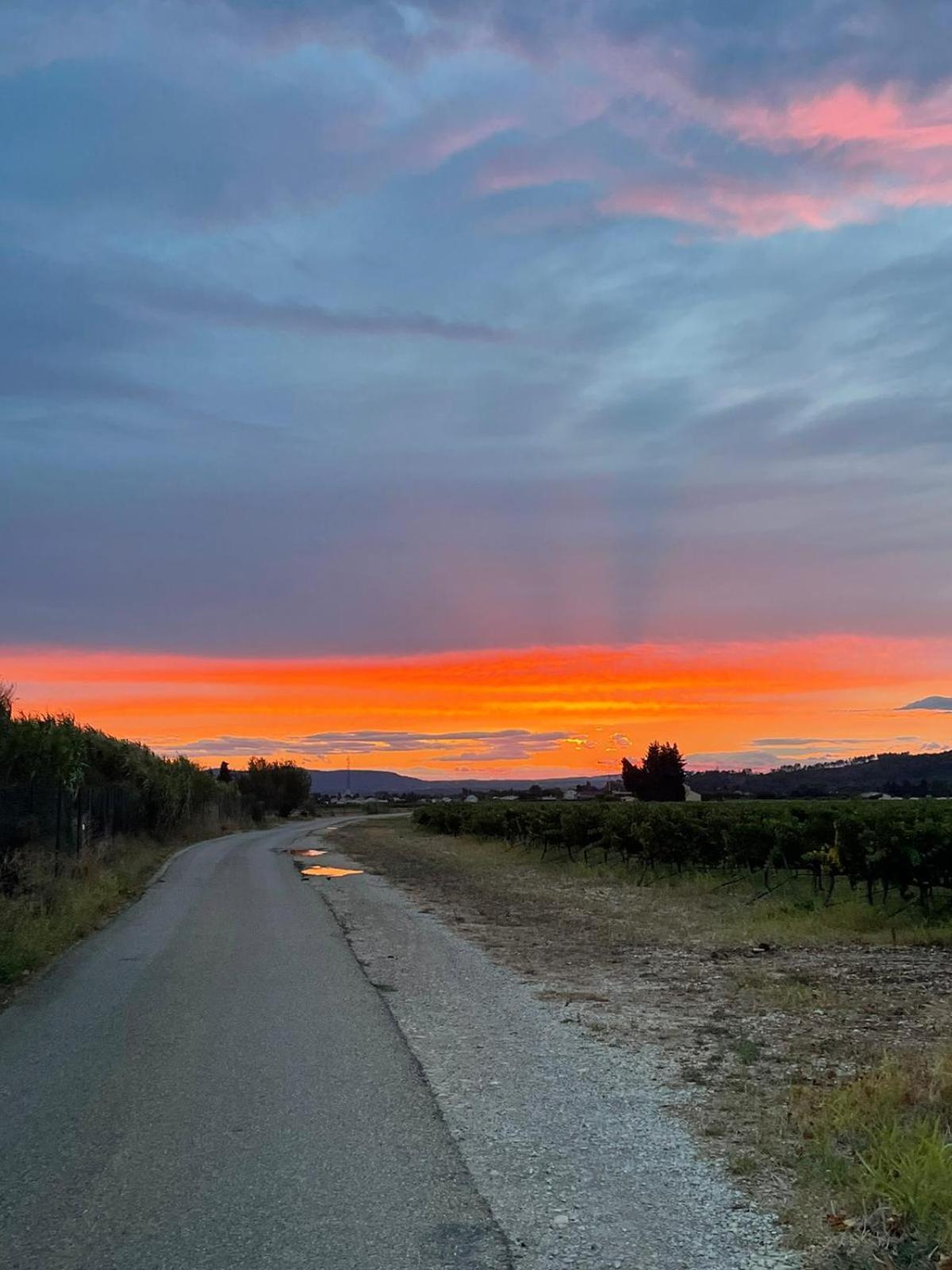 Chambre D'Hotes Les Garrigues Piolenc Buitenkant foto